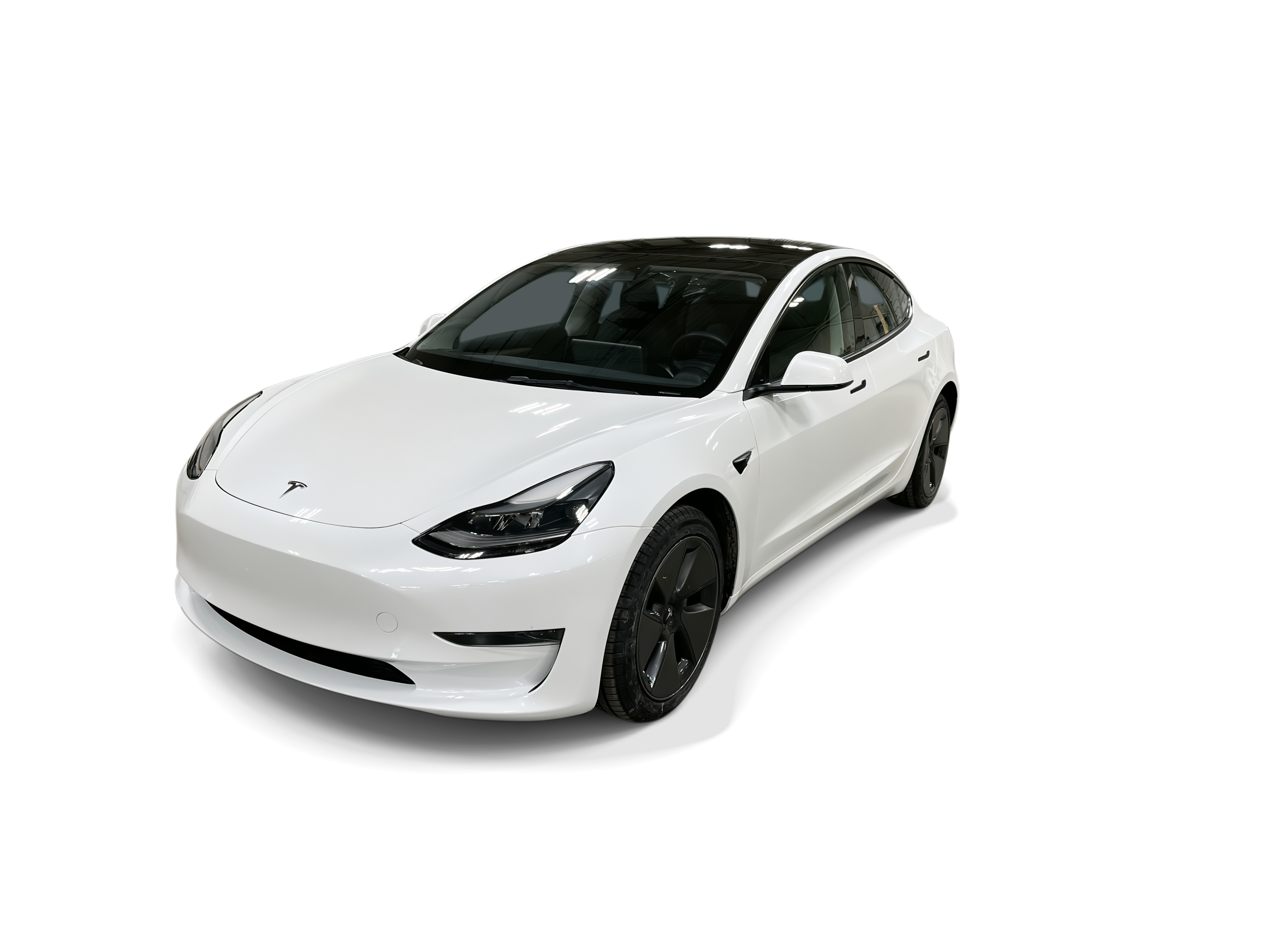 tesla model 3 2023 5YJ3E1EA3PF458455 image tesla model 3 2023 5YJ3E1EA3PF458455 image